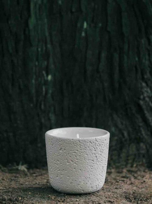 Breath Of Nature Scented - Fir